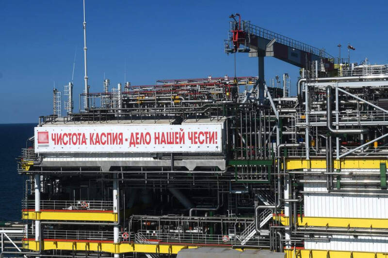 Рост полярности: белый медведь может стать символом России