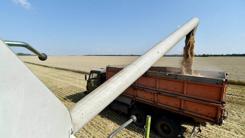 Минсельхоз России ожидает рост экспорта зерна к 2030 году до 81 млн т