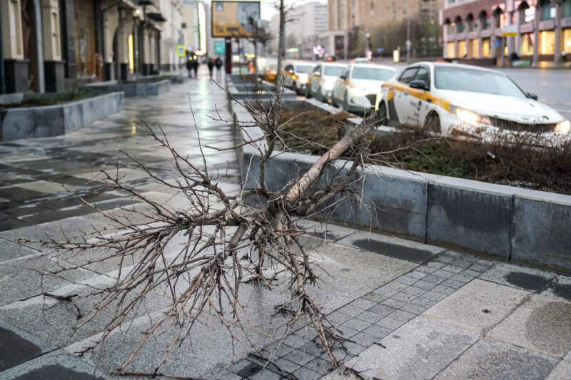 И снова сырая ночь: в Москве прогнозируют смерчи и мегаливни