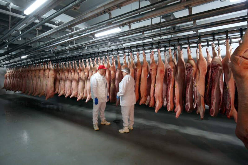 Империя наносит ответный удар: Китай намерен повысить таможенные тарифы на свинину из Европы