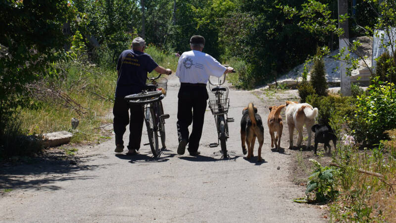 «Пусть и опасно, но с чего-то надо начинать»
