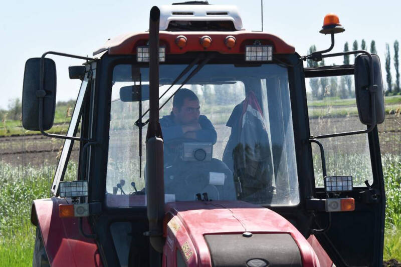 Своя доля: в каких отраслях запрещают работать трудовым мигрантам