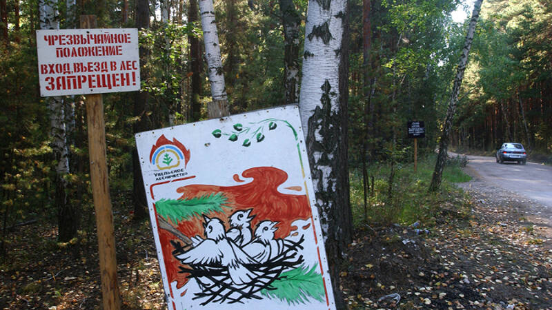 Чрезвычайную пожарную опасность объявили в Челябинской области