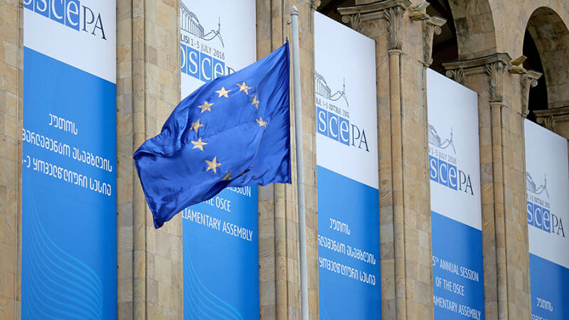 Политолог заявил о деградации ПА ОБСЕ под влиянием Запада