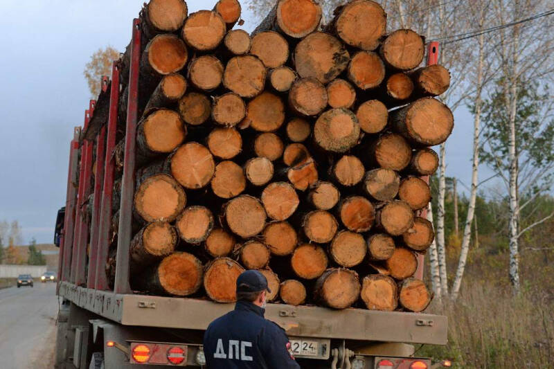 Грузовой перевал: за отказ от взвешивания фур водителей хотят лишать прав