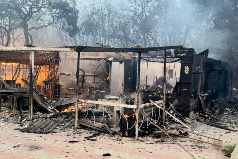 Пожар в Абрау-Дюрсо: почему начался и что происходит сейчас