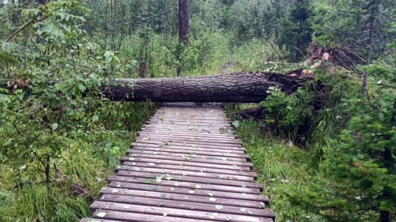 Ветер и град нанесли ущерб нацпарку &laquo;Красноярские столбы&raquo;