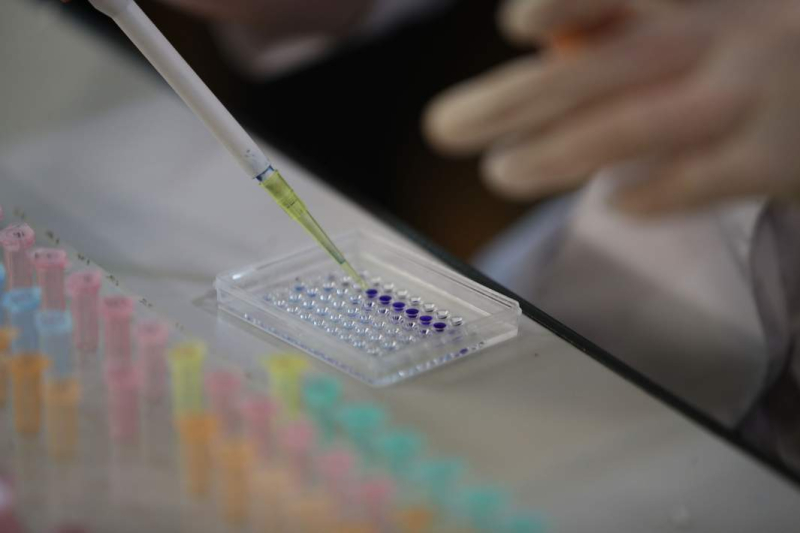 Расплата по рынку: суд вынес приговор убийцам вдовы члена ореховской ОПГ