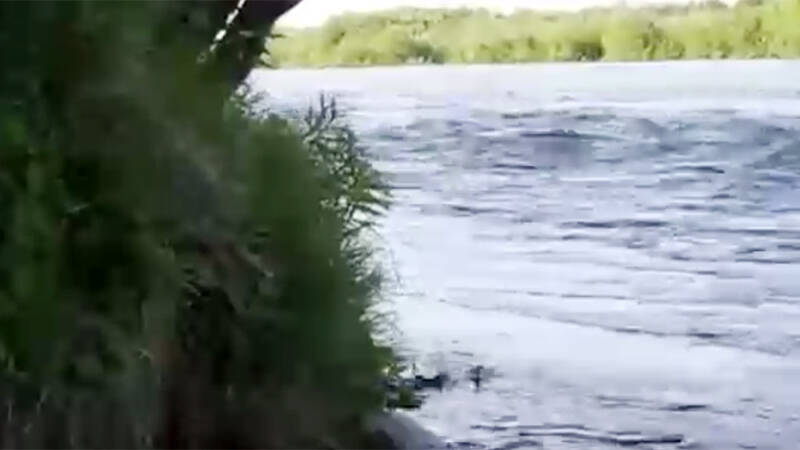 Подъем воды в реках спрогнозировали на Камчатке из-за осадков