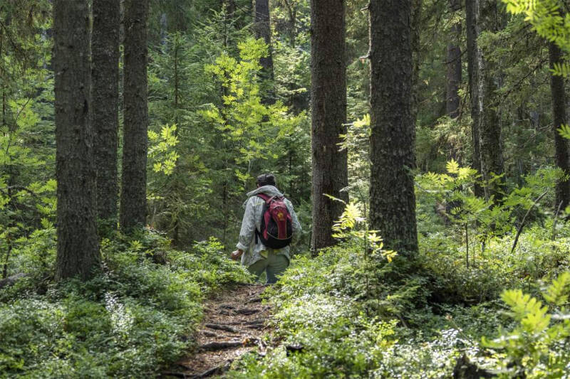 Маршрут нестроен: на национальном турпортале нашли ошибки
