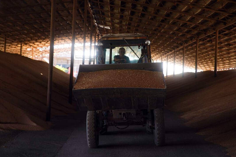 Полевые технологии: в России сельским хозяйством займутся роботы