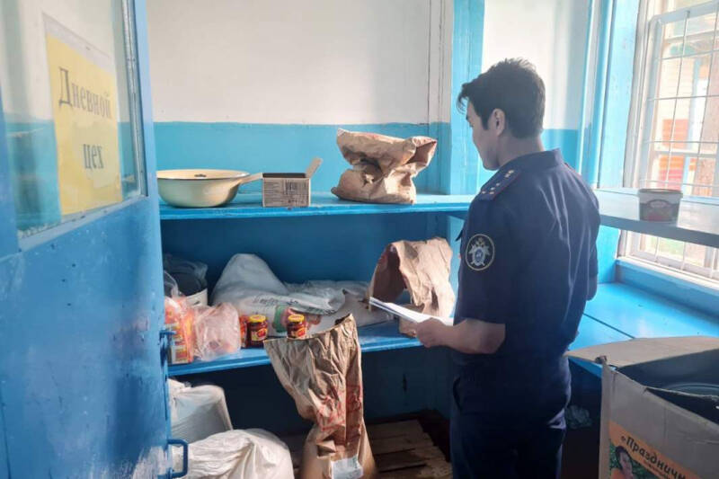 Отравление в лагере &laquo;Чагытай&raquo;: больше 30 детей попали в больницу в Туве