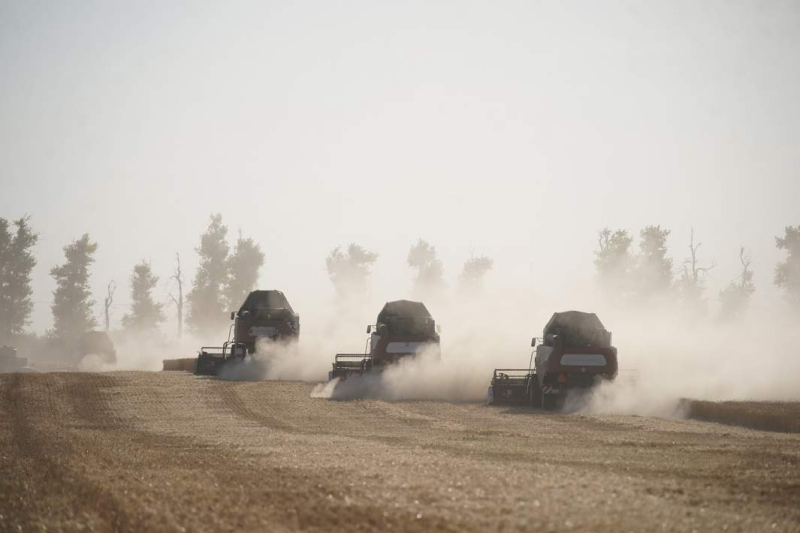 Полевые технологии: в России сельским хозяйством займутся роботы