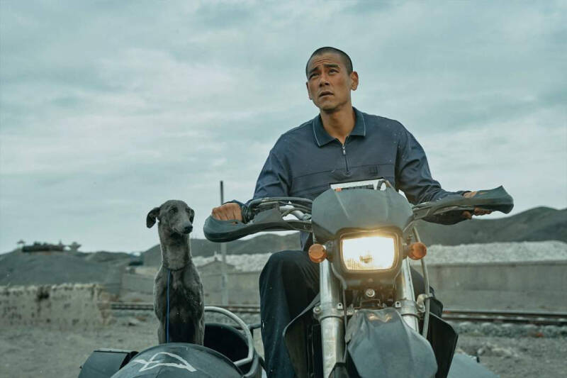 Звери и господа: какие кинопремьеры ждут нас в августе