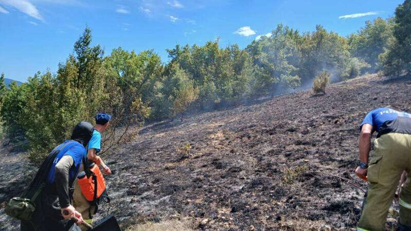 Трава и лес загорелись под Севастополем на площади 4 га