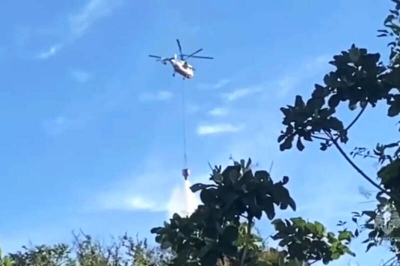 Пожар в Абрау-Дюрсо: почему начался и что происходит сейчас