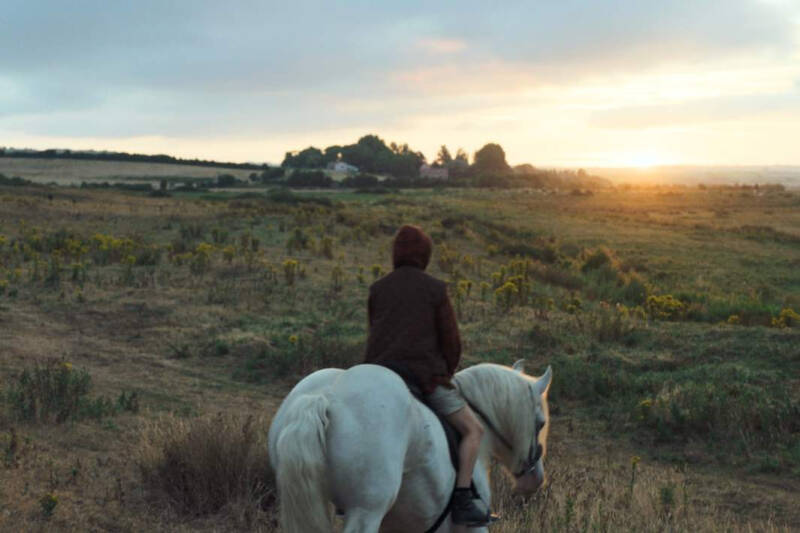 &laquo;Кино становится политическим, когда зритель считает его таковым&raquo;
