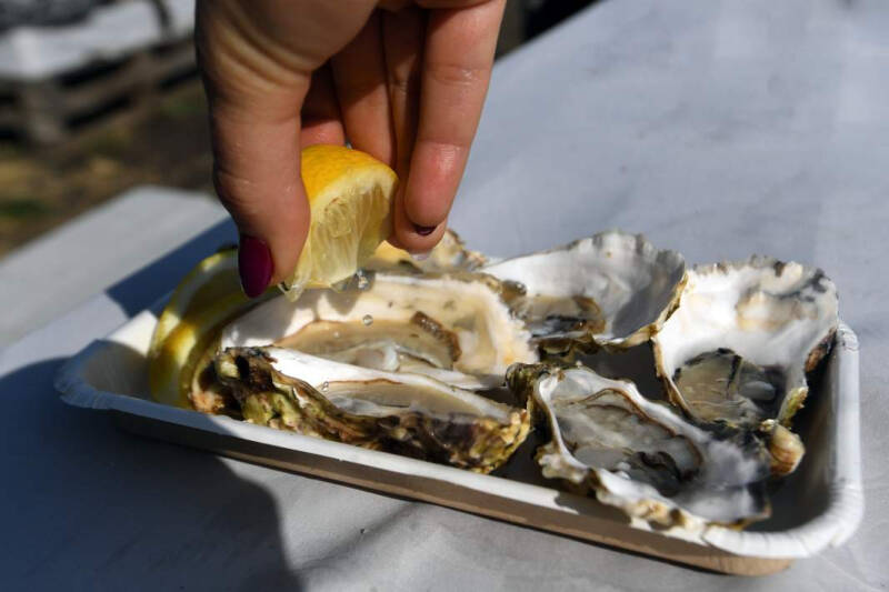 Голод и тетка: почему не только мужчины злятся на пустой желудок