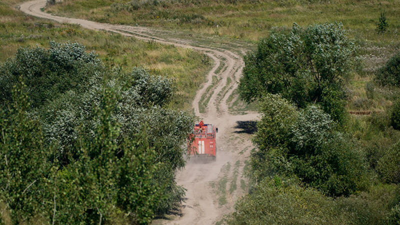 Режим ЧС введен в лесах Красноярского края из-за жары
