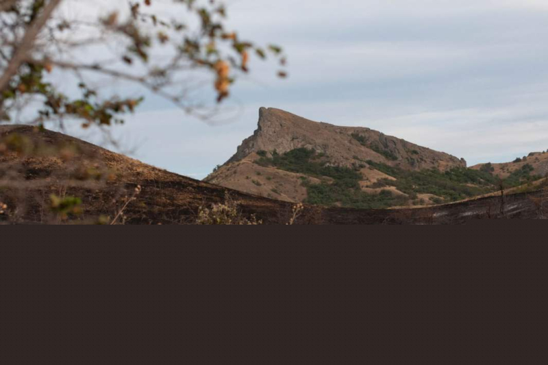 Огонь на понижение: где в России борются с природными пожарами