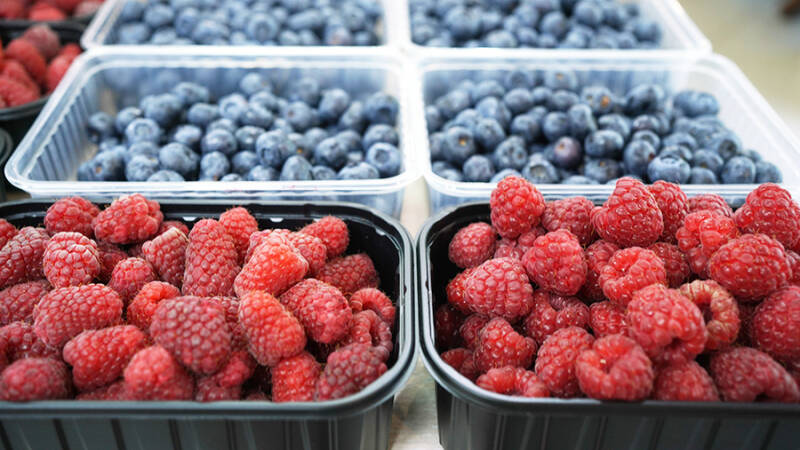 Сезонные ягоды в России подорожали на 8-16%