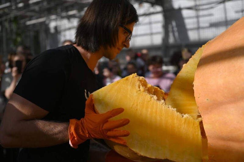 Запасайся кто может: кому врачи советуют есть кабачки