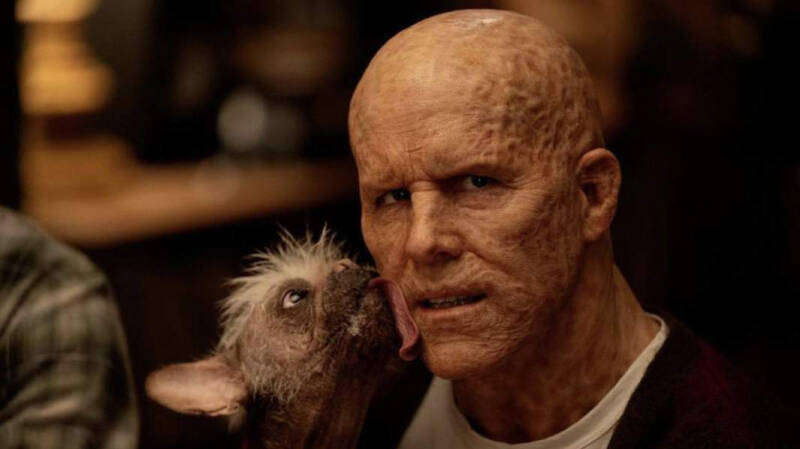 Спасите мир: «Дэдпул и Росомаха» слили в Сеть в день премьеры