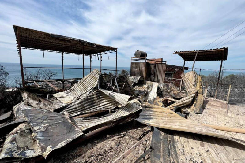 Пожар в Абрау-Дюрсо: почему начался и что происходит сейчас