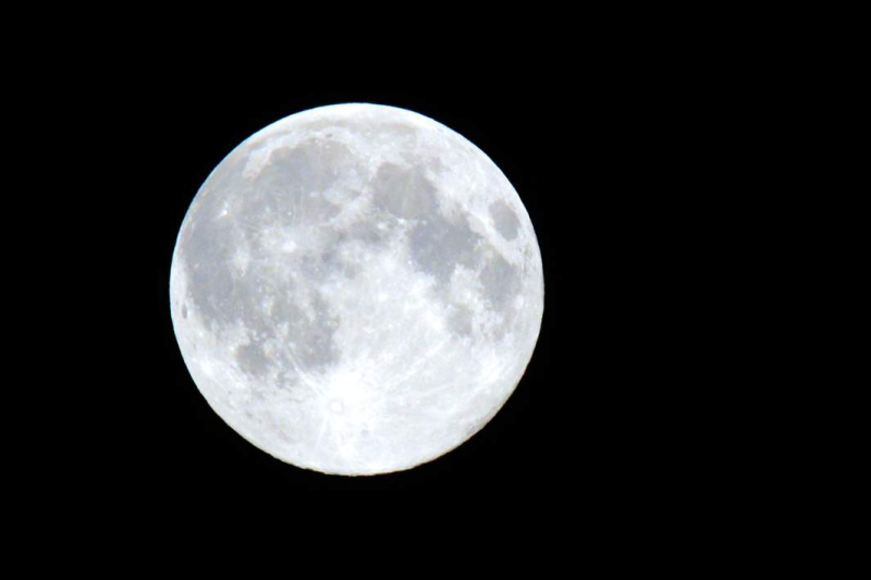 Лунный посевной календарь на июль 2024: график посадок по дням и фазам Луны