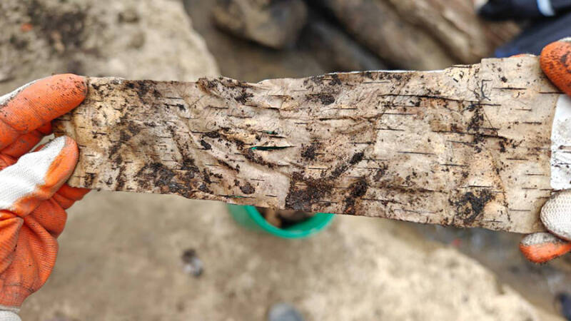 Археологи нашли в Якутске берестяные грамоты XVII века