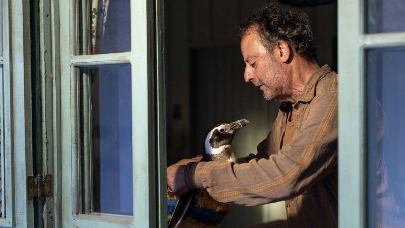 Звери и господа: какие кинопремьеры ждут нас в августе