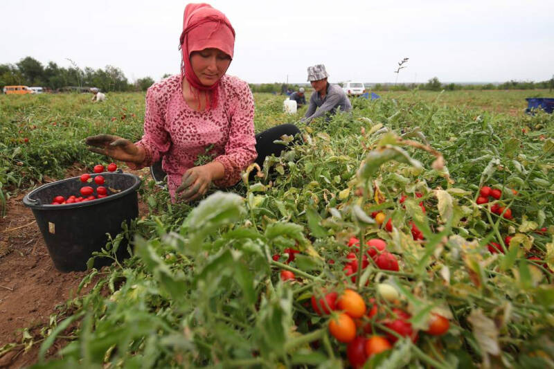 &laquo;Точка невозврата в отношениях с нынешней властью Молдовы пройдена&raquo;
