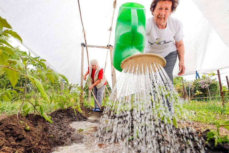 Лунный посевной календарь на июль 2024: график посадок по дням и фазам Луны