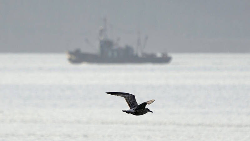 В Камчатском крае зафиксировали землетрясение магнитудой 5,5