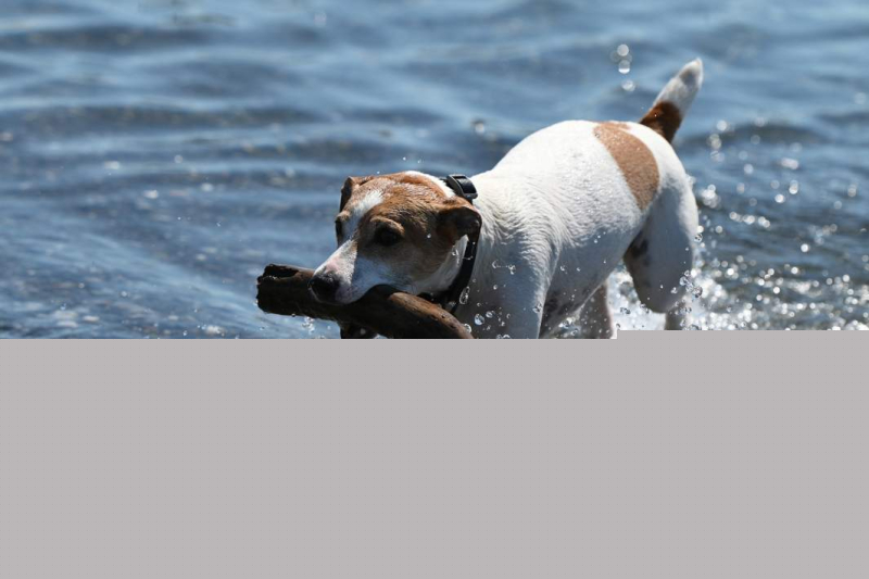 Гром и молнии: как изменится погода в Москве и других городах