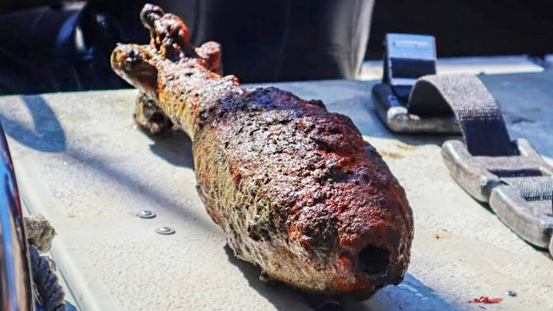 Рядом с Эрмитажем нашли минометную мину времен войны