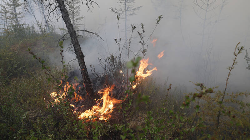 Чрезвычайная пожарная опасность сохранится в Забайкалье до конца июля
