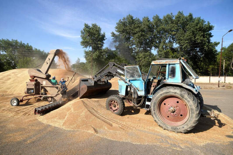 Полевые технологии: в России сельским хозяйством займутся роботы