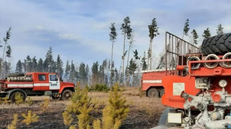 Особый противопожарный режим продлили на севере Приангарья до конца августа