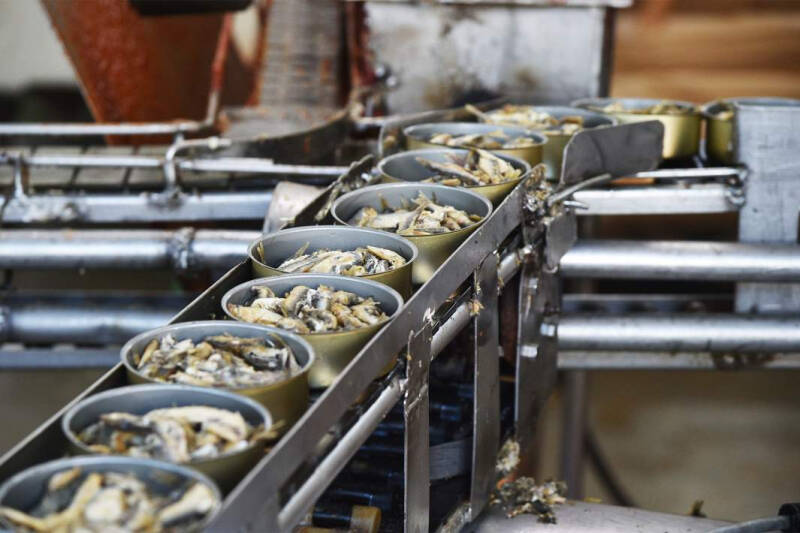 Знаки понимания: в РФ хотят ввести маркировку переработанной пищевой продукции