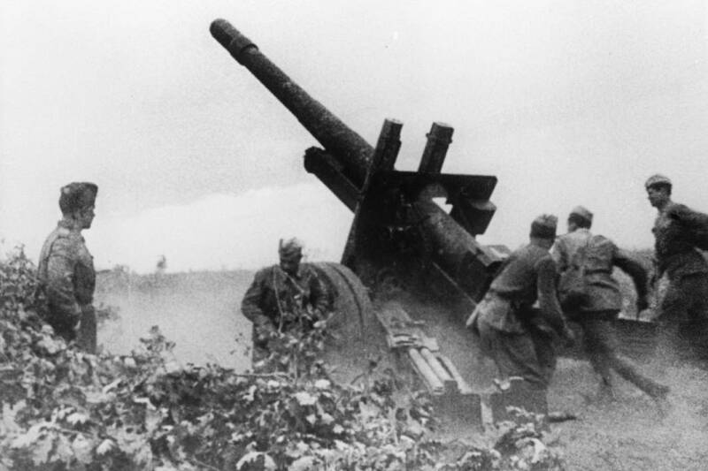 Железные клещи: как Красная армия повторила маневр Ганнибала