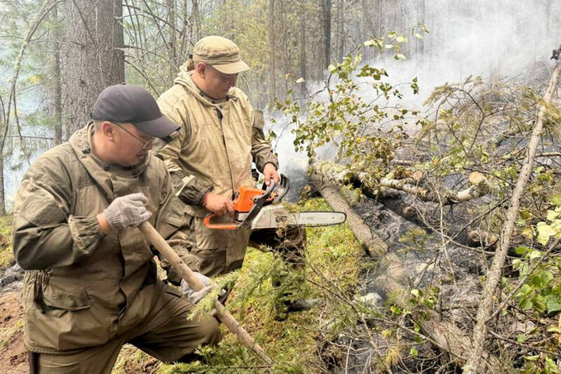 Обжечь края: лесные пожары в Туве приближаются к населенным пунктам