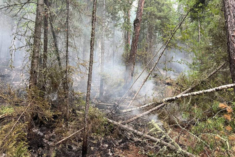 Обжечь края: лесные пожары в Туве приближаются к населенным пунктам