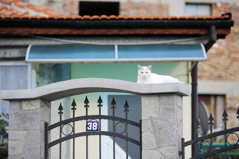 На частном слове: Черногория не смогла заморозить имущество россиян