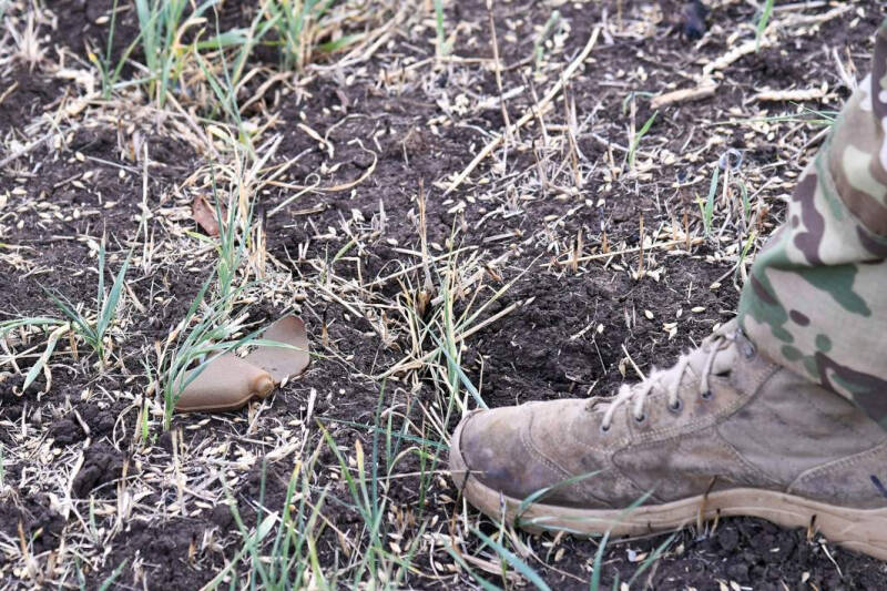 Церемония разграждения: в России создается программа &mdash; менеджер минных полей