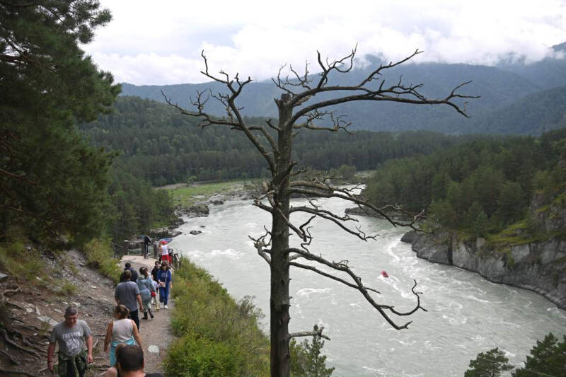 Бьют по гражданским: Путин назвал провокацией попытку прорыва в Курской области