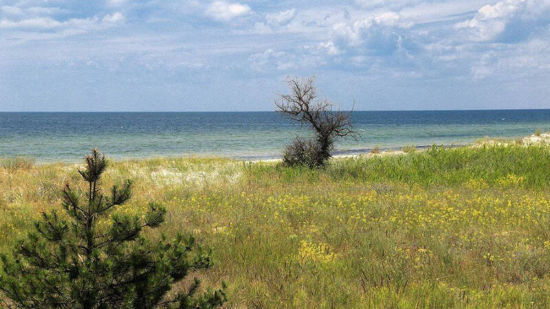 Сальдо сообщил об уничтожении лодок с диверсантами на Кинбурнской косе