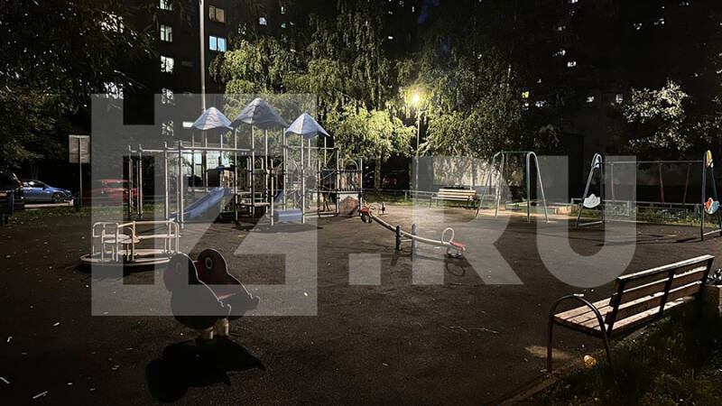 В Москве мужчина из пневматики обстрелял детскую площадку и попал в ребенка