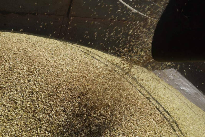 Дружба врозь: Украина рассорилась со странами Сахеля