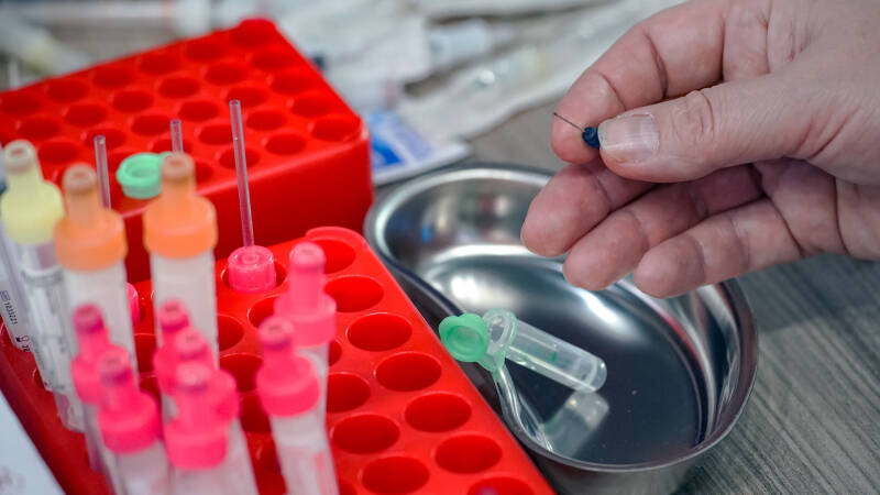 Легкое дыхание: в России создали первую в мире вакцину от аллергии